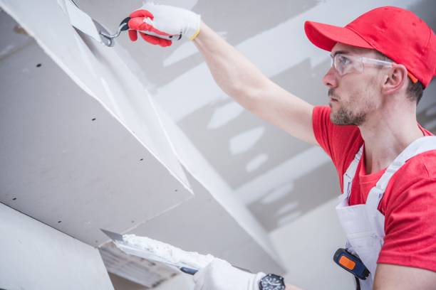 Professional Drywall & Painting Services in University At Buffalo, NY